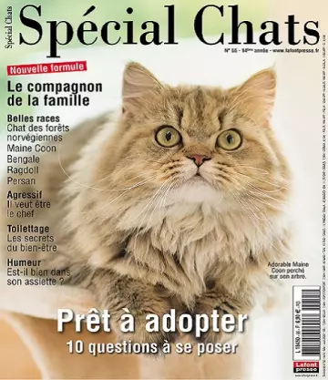 Spécial Chats N°55 – Avril-Juin 2022  [Magazines]