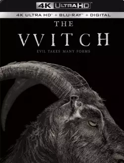 The Witch  [BLURAY REMUX 4K] - MULTI (TRUEFRENCH)